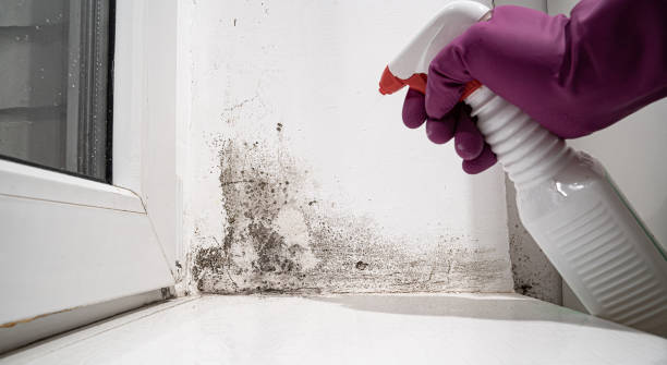 Sewage cleanup and water damage restoration